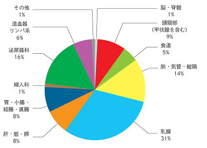 診療実績