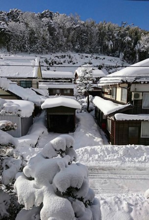 雪化粧①